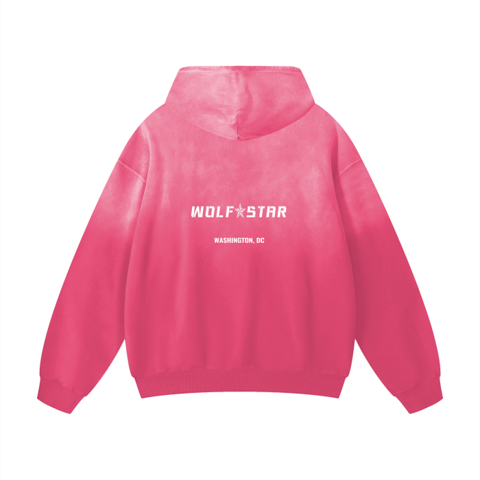 WASHINGTON, DC USA HOODIES